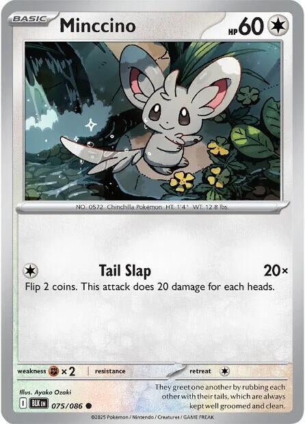 Image for Minccino (075/086) - Pokemon