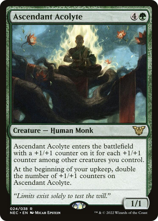 Ascendant Acolyte (24) (Commander: Kamigawa: Neon Dynasty)