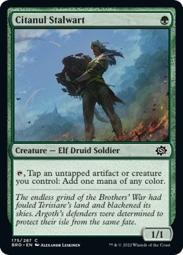 Citanul Stalwart (175) (The Brothers' War)