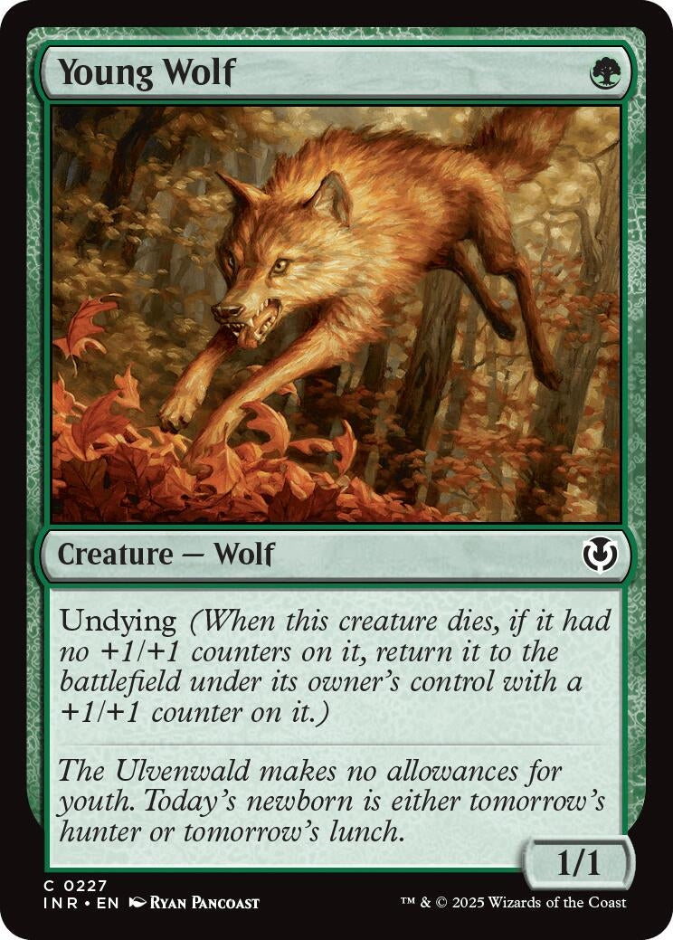 Young Wolf (227) (Innistrad Remastered)