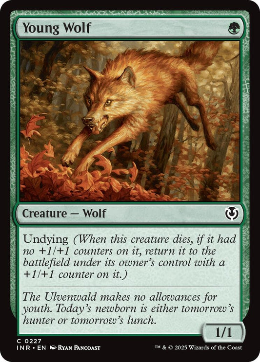 Young Wolf (227) (Innistrad Remastered)